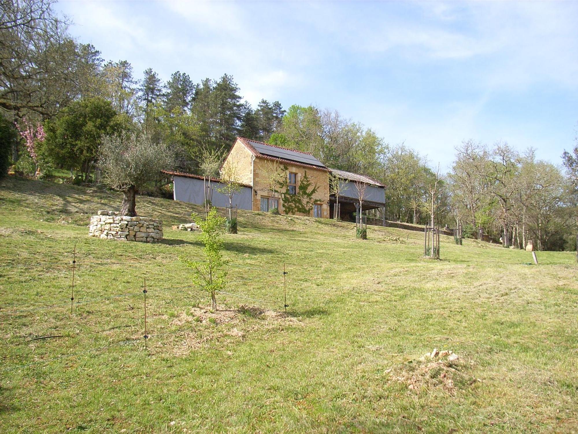 Studio Aux Eyzies Au Coeur De La Vallee De L'Homme Les Eyzies Exterior photo