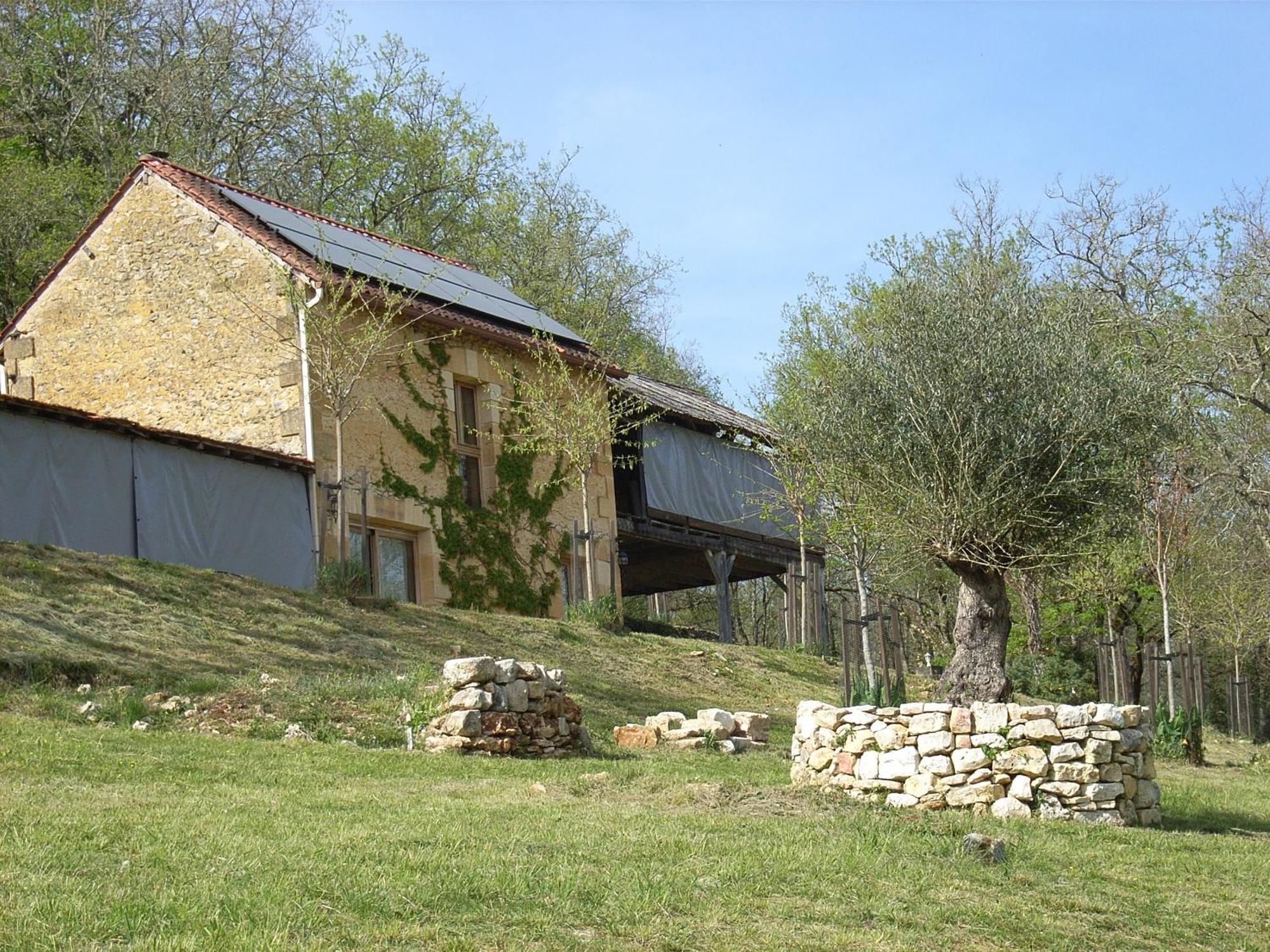 Studio Aux Eyzies Au Coeur De La Vallee De L'Homme Les Eyzies Exterior photo